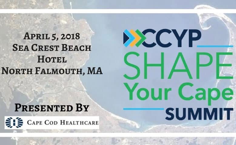 Cape Cod Young Professionals Shape Your Cape Summit